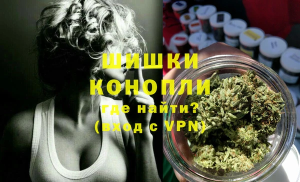 бутират Белокуриха