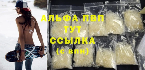 бошки Пересвет
